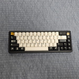 황덕이 brassduck65/다신흑/gmk 마에스트로