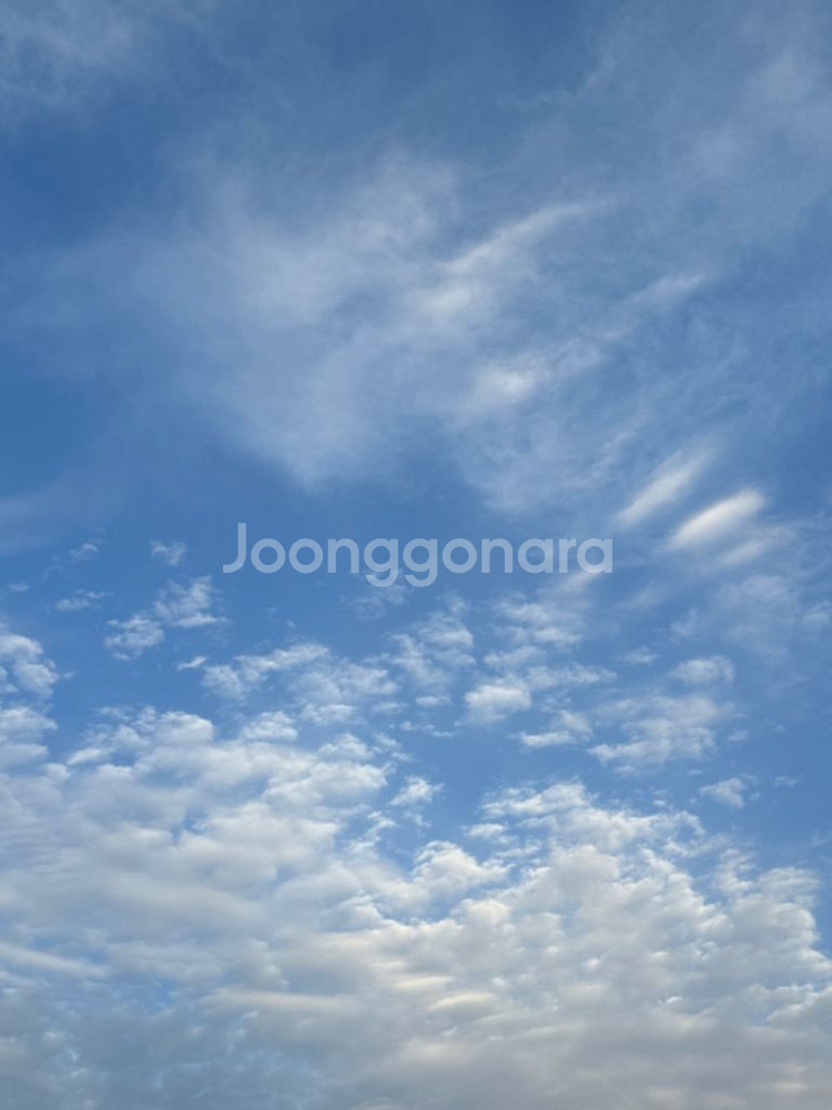 구매) 파워레인저 매직포스 구합니다--0