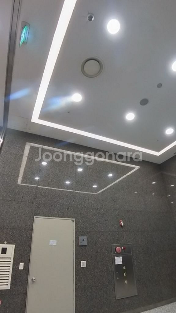 인스타360 X3, 3m 연장 셀피봉, 추가 배터리--3