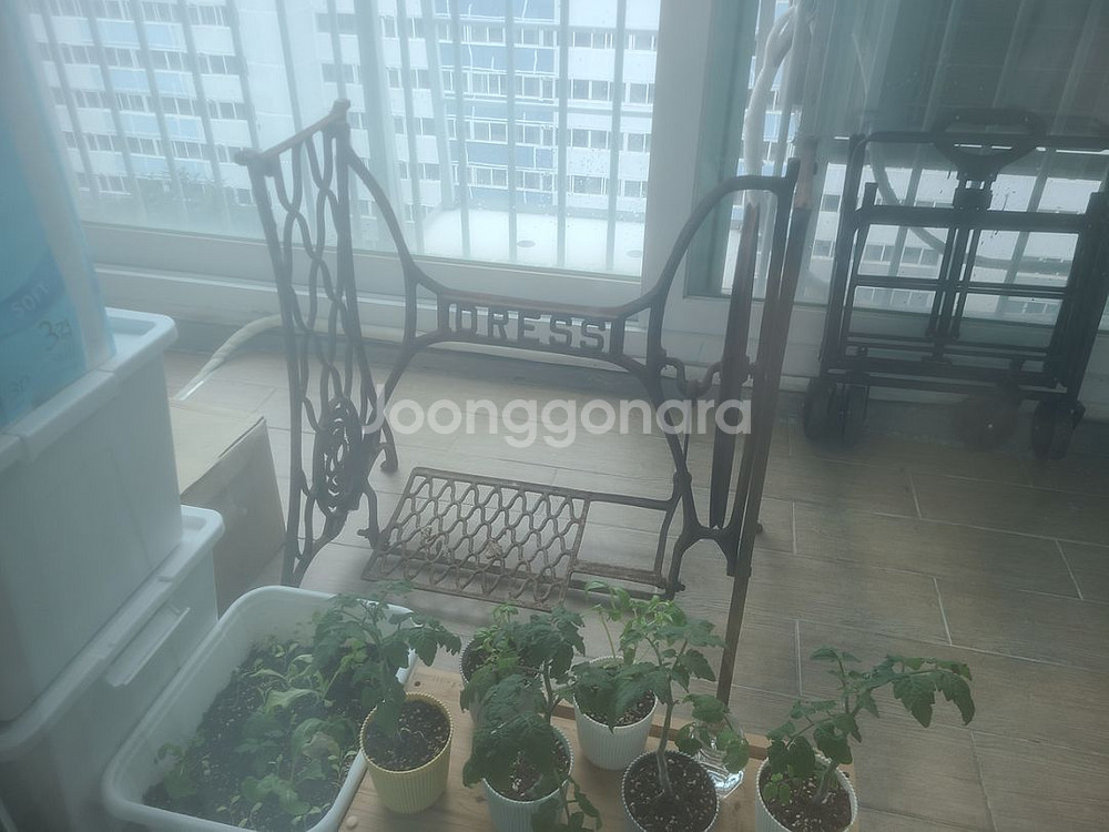 옛날 미싱다리--0