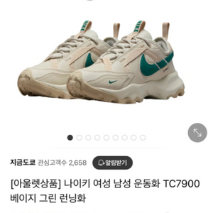 나이키 TC7900 255, 베이지 그린 , 우먼스 2