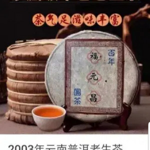 2003년 생차보이차