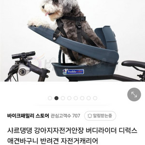 버디라이더 강아지 자전거 안장 쿠션세트