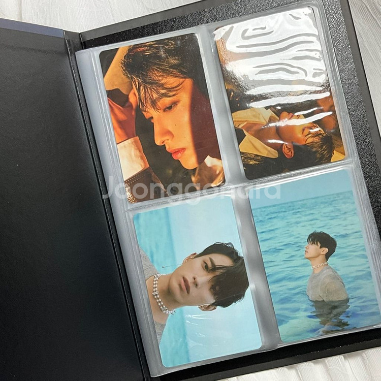 세븐틴 도겸 아타카 캐럿반--1