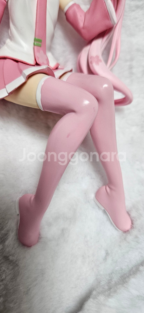 하츠네 미쿠 사쿠라미쿠 누들스토퍼--3