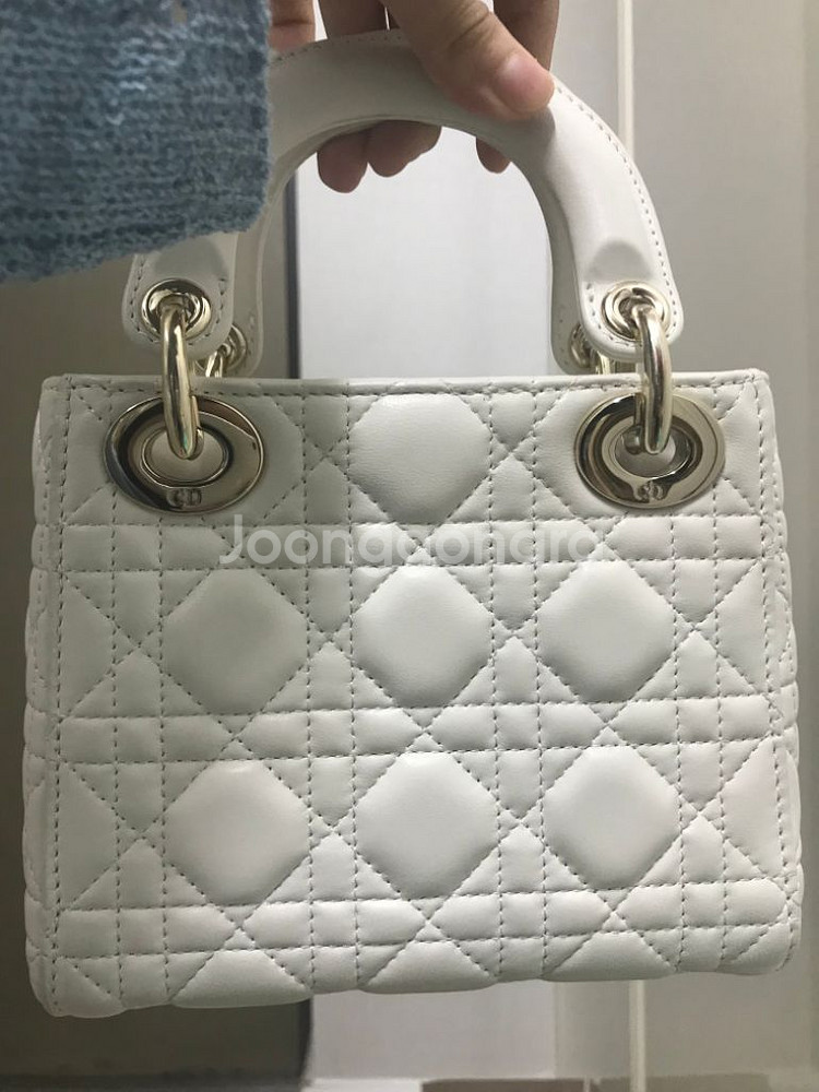 디올 레이디백 스몰--1