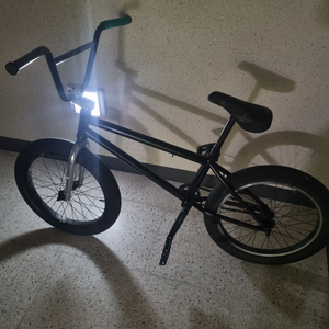 bmx 팝니다