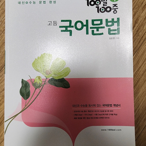 100발100중 고등 국어문법