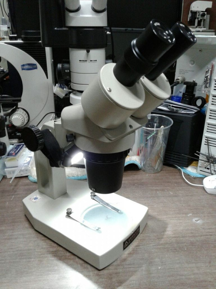 쌍안실체현미경 20배 .40배율 이미지