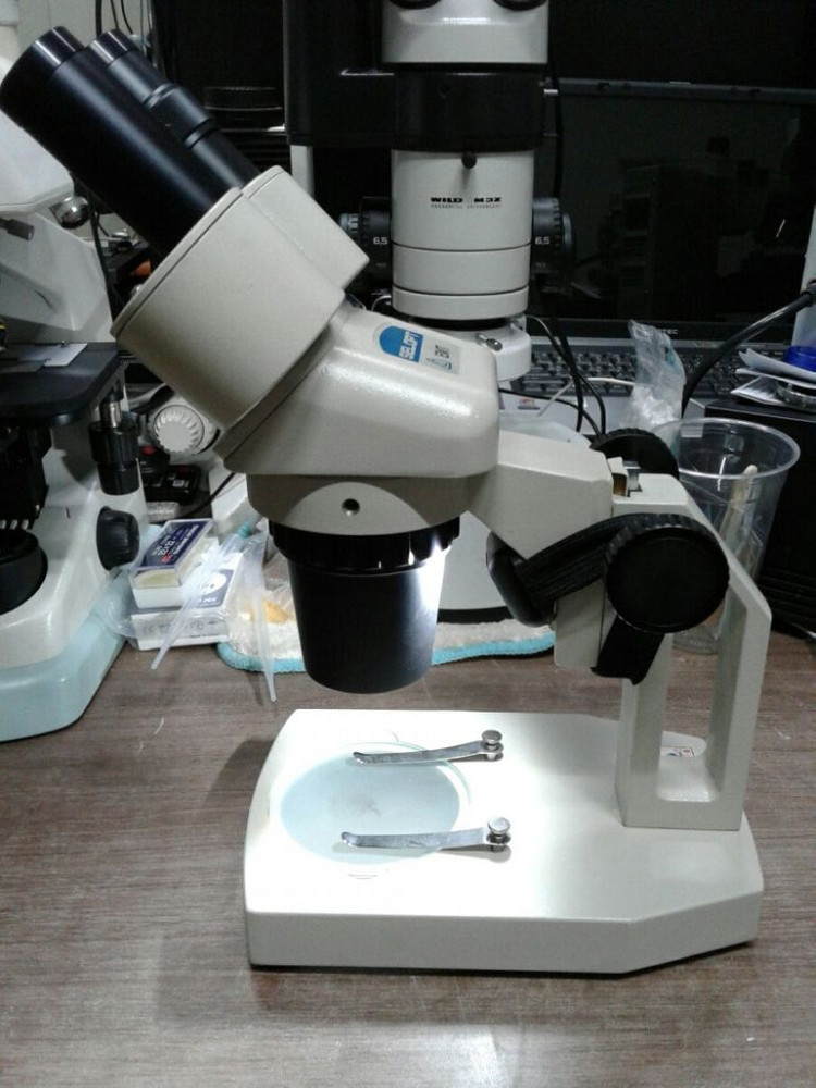 쌍안실체현미경 20배 .40배율 이미지