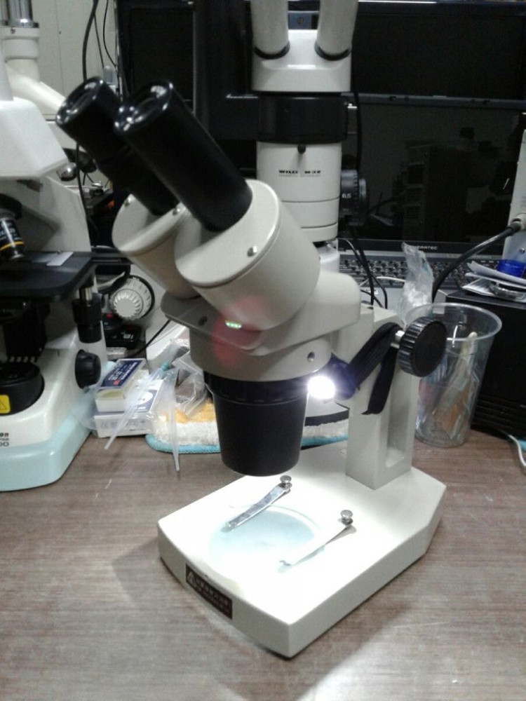 쌍안실체현미경 20배 .40배율 이미지