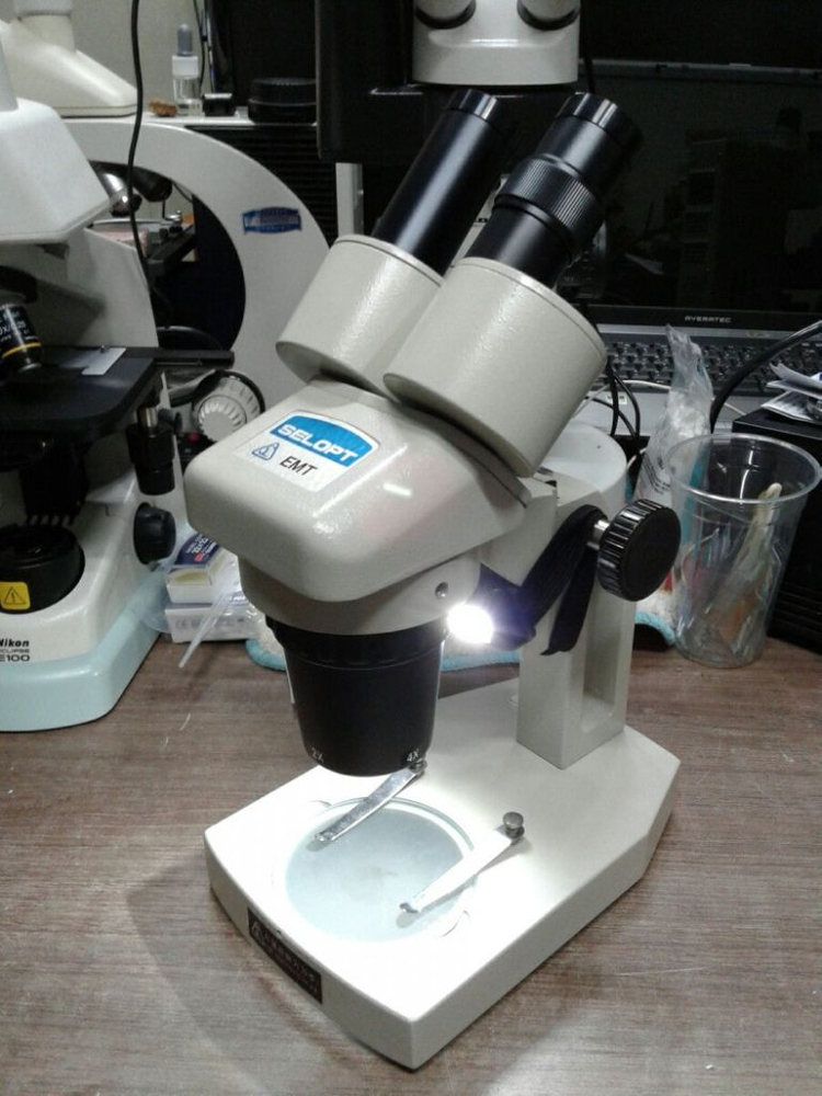 쌍안실체현미경 20배 .40배율 이미지