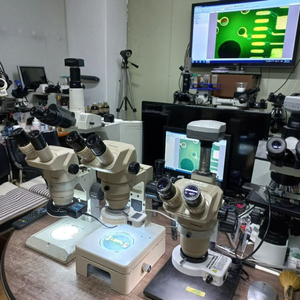 올림프스 실체현미경 싸게판매