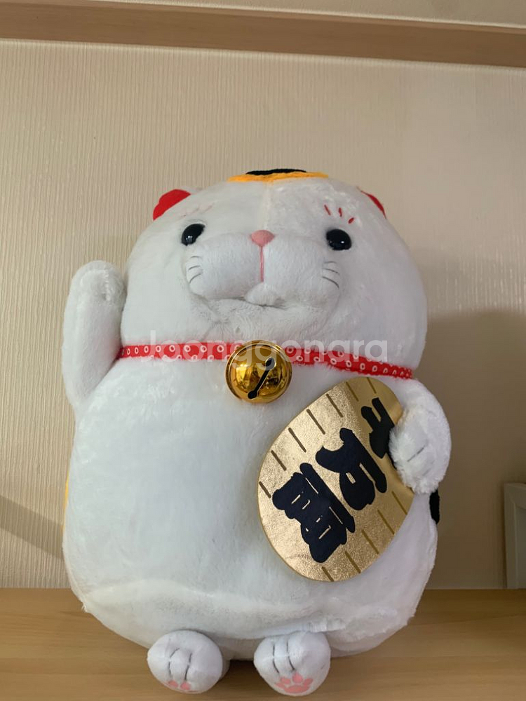 어뮤즈 고양이 인형 일본 정품 어뮤즈 토끼 롯삐 코론--2