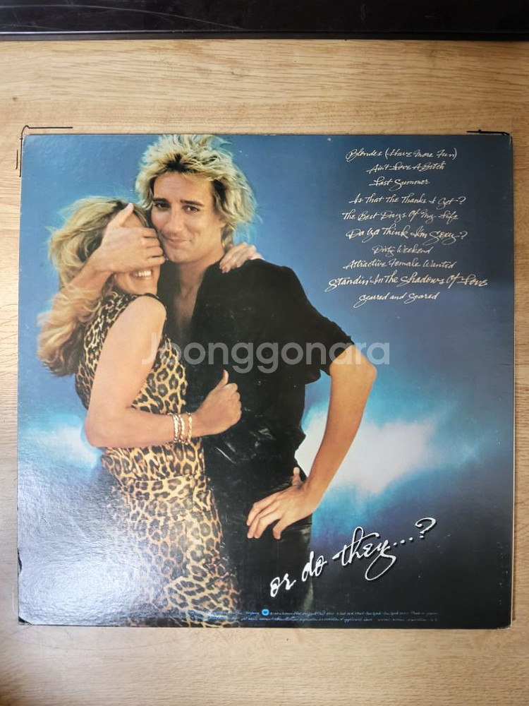 ROD STEWART 음반 LP (오디오 앰프 스피커--1