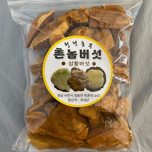 상황버섯 100g