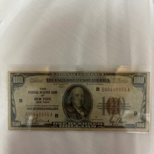 1929년 $100 New York