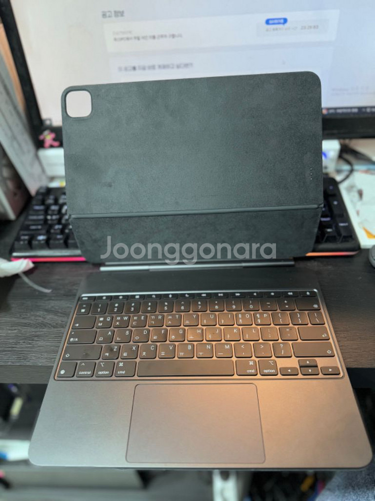 아이패드 프로 m4 13 wifi 256g, 매직키보드--4