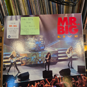 MR.BIG.LIVE.92.오아시스.민트급lp