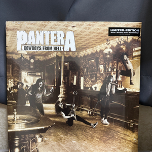 Pantera 판테라 메탈명반 한정반 LP 미개봉