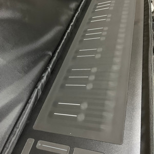 roli seaboard 49 급처