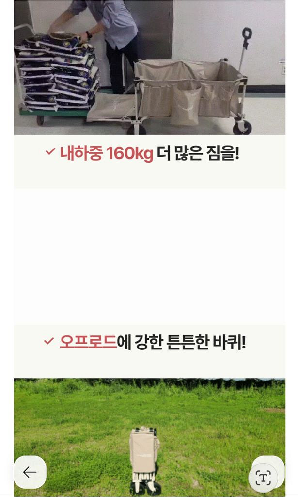 캠프365 파파웨건 스포츠 챔프 베이지--4
