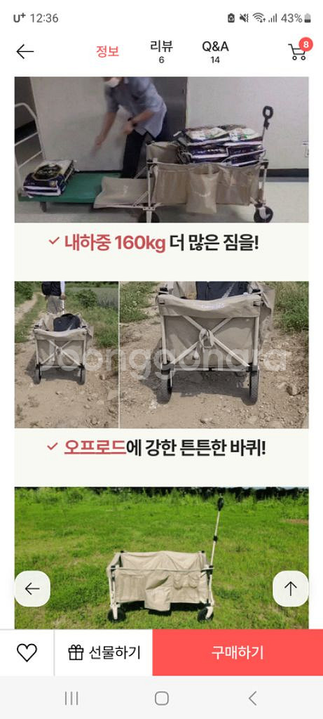 캠프365 파파웨건 스포츠 챔프 베이지--3