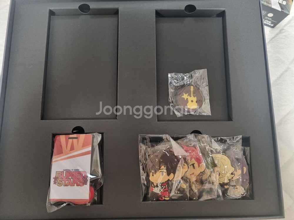 베리드 스타즈 닌텐도 한정판--1