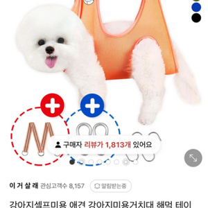 강아지 미용 해먹 거치대 (쁘띠시오)