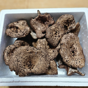 특A급 능이버섯 1kg