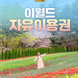 이월드 종일 자유이용권