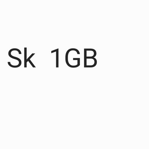 skt 데이터 1GB , 2GB