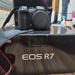 캐논 eos R7 판매합니다