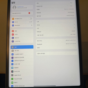 아이패드프로12.9 5세대 256 실버 팝니다