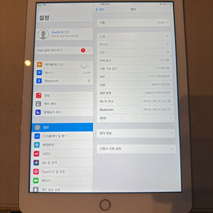 아이패드9.7 5세대 32기가 골드 팝니다
