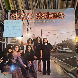 Lynyrd Skynyrd.82.대성.lp