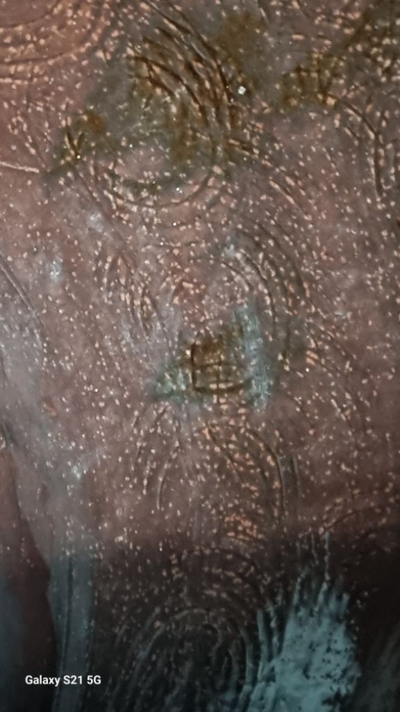 옛옹기물동이--3