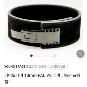 pal v2 4인치 10mm 파이오니어 벨트