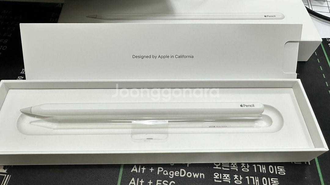 애플펜슬 2세대--1
