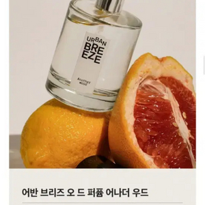 더샘 오드퍼퓸 어나더우드 50ml