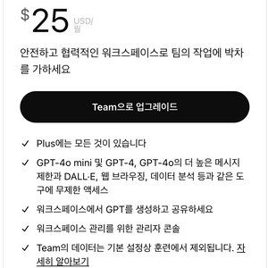 chat gpt team 챗지피티 팀원 구함