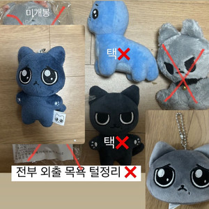 에스파 카리나 인형 칼룡이 앉찌먕 칼냥이 직냥이 짝리냥