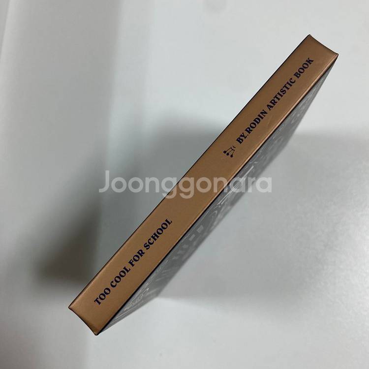 투쿨포스쿨 바이 로댕 아티스틱북 쉐딩 블러셔 하이라이터--3