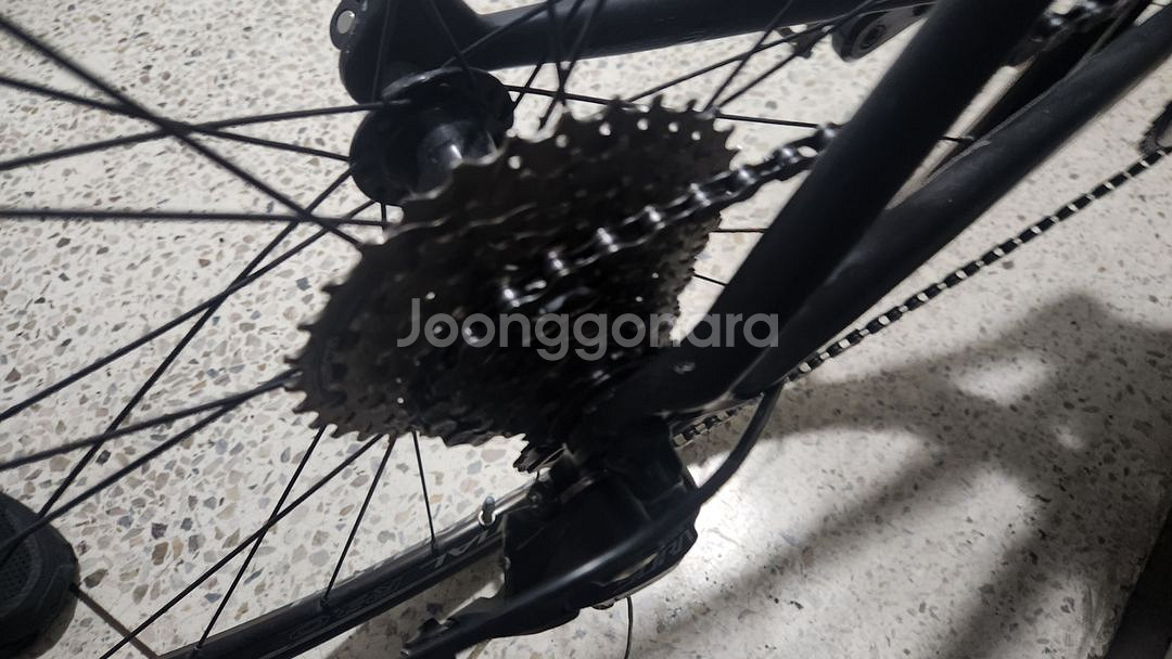 풀카본 로드자전거--1