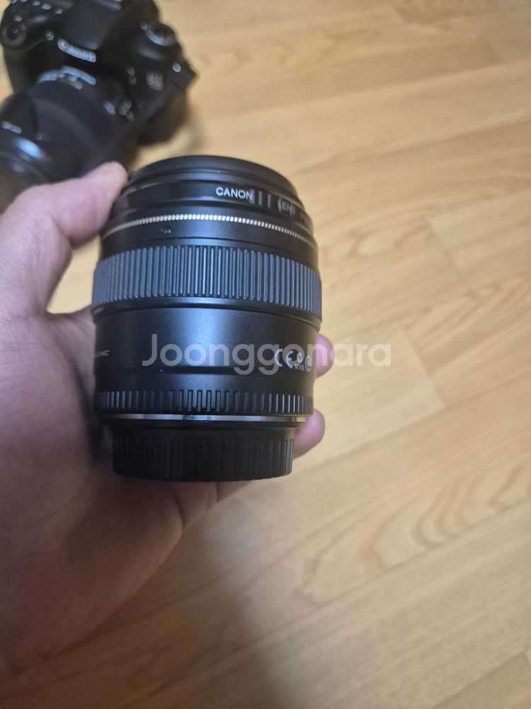 캐논 eos 70D 시그마 18-200 캐논 85mm.--4