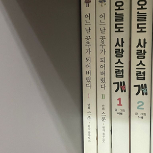어느날 공주가 되어버렸다 만화책