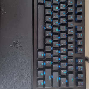 레이저 헌츠맨 V3 PRO TKL (공방풀윤활) 팝니다