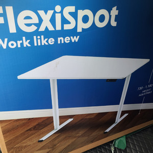 flexispot 모션데스크