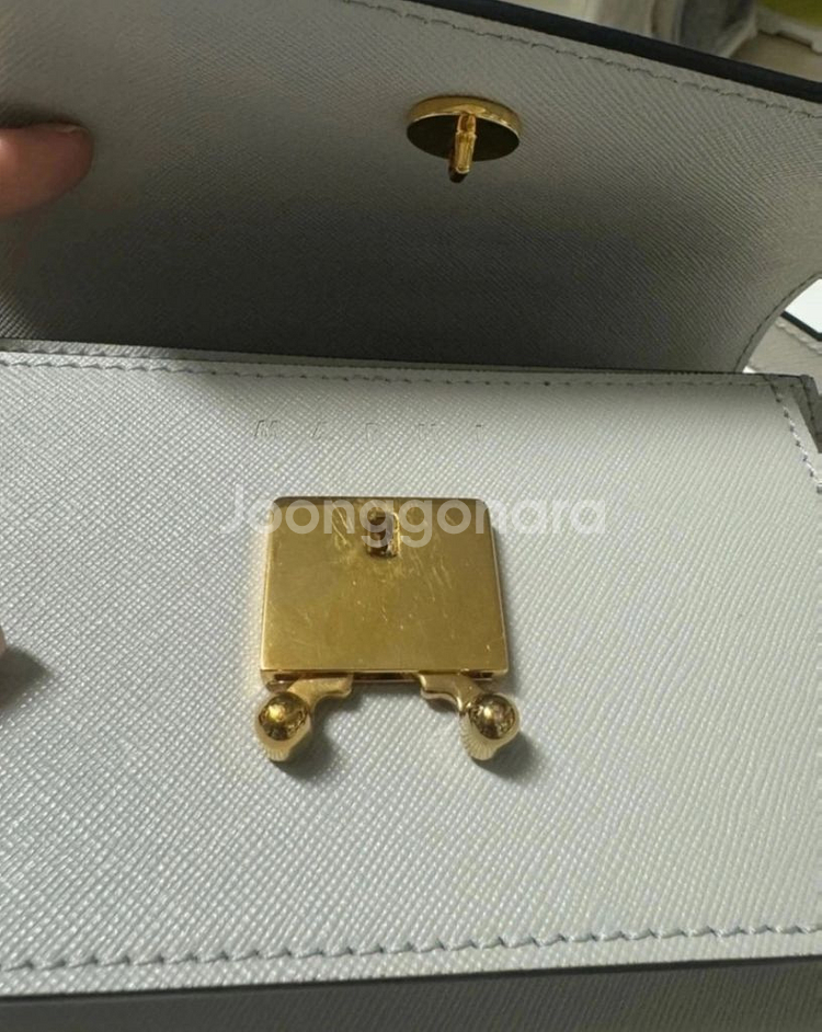 마르니 트렁크백 미니 사피아노 팰리칸 색상--5