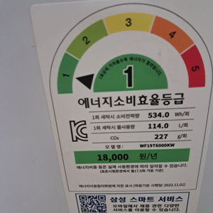 삼성 그랑데 19kg